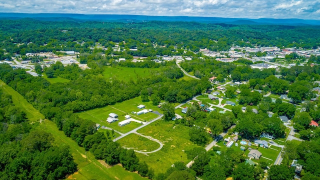 90 Cherokee St, Summerville, GA 30747 - aerial view of property and surrounding area with a heavily wooded area