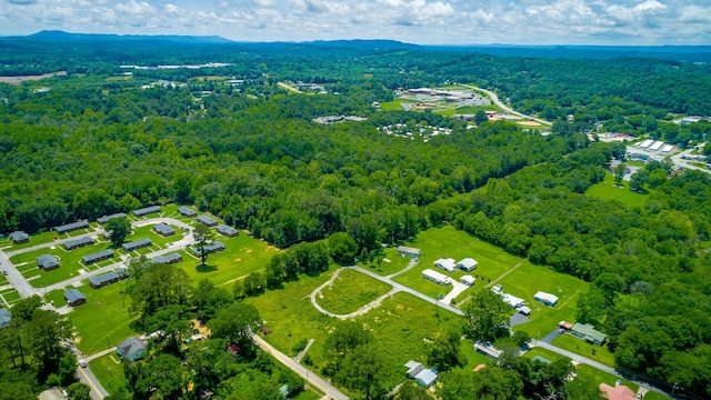 90 Cherokee St, Summerville, GA 30747 - aerial view of a forest