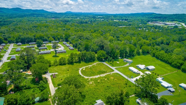 90 Cherokee St, Summerville, GA 30747 - bird's eye view of a heavily wooded area and a mountain backdrop