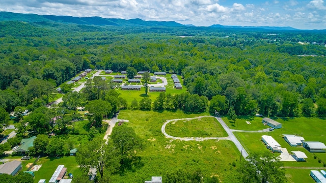 90 Cherokee St, Summerville, GA 30747 - aerial view of a forest and a mountain backdrop