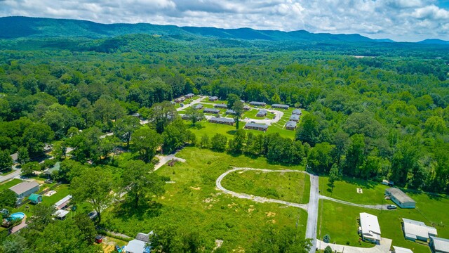 90 Cherokee St, Summerville, GA 30747 - bird's eye view of a heavily wooded area and a mountain backdrop
