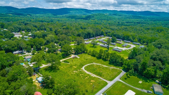 90 Cherokee St, Summerville, GA 30747 - bird's eye view of a forest and mountains