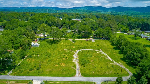 90 Cherokee St, Summerville, GA 30747 - bird's eye view of mountains and a forest