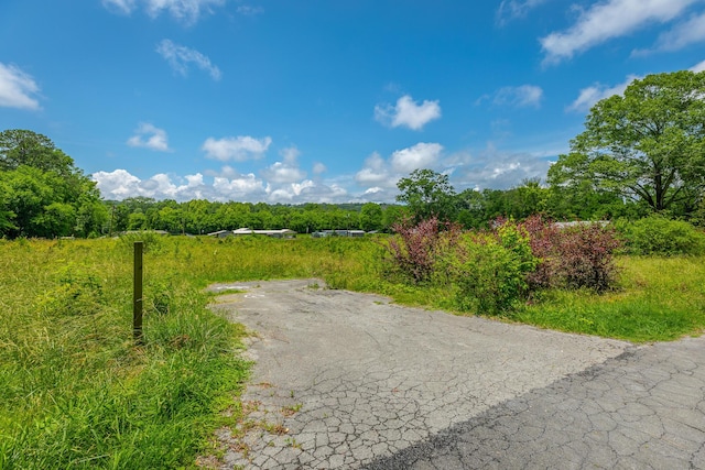 90 Cherokee St, Summerville, GA 30747 - view of road