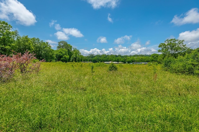 90 Cherokee St, Summerville, GA 30747 - view of local wilderness
