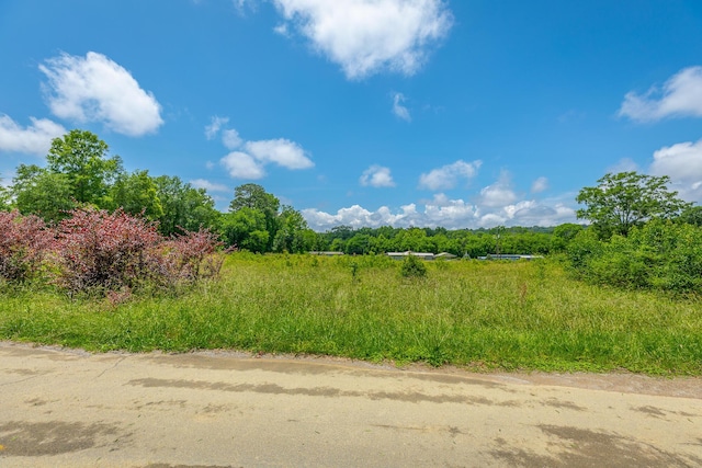 90 Cherokee St, Summerville, GA 30747 - view of local wilderness