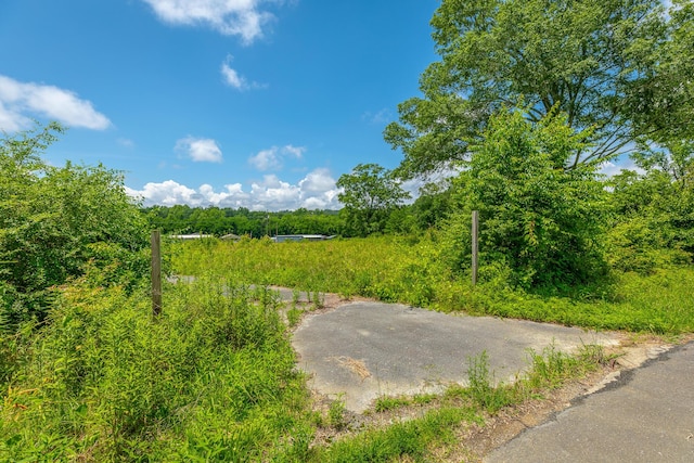 90 Cherokee St, Summerville, GA 30747 - view of road with a wooded view