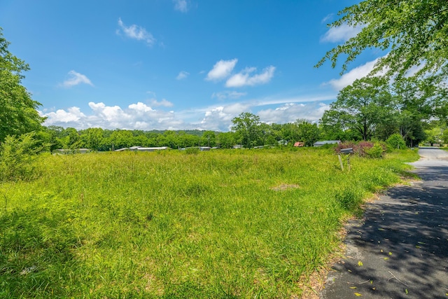 90 Cherokee St, Summerville, GA 30747 - view of yard