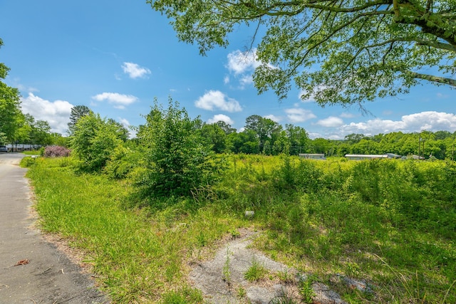90 Cherokee St, Summerville, GA 30747 - view of nature