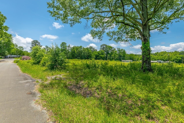 90 Cherokee St, Summerville, GA 30747 - view of local wilderness