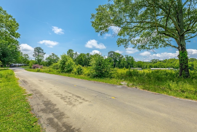 90 Cherokee St, Summerville, GA 30747 - view of asphalt street