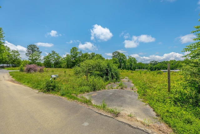 90 Cherokee St, Summerville, GA 30747 - view of asphalt road