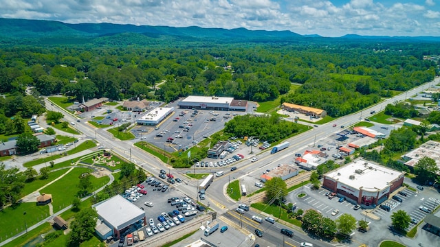 90 Cherokee St, Summerville, GA 30747 - drone / aerial view of a heavily wooded area and a mountainous background