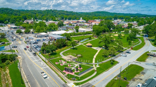 90 Cherokee St, Summerville, GA 30747 - bird's eye view of a forest