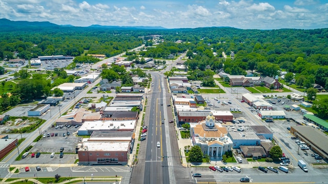 90 Cherokee St, Summerville, GA 30747 - aerial view of a heavily wooded area and a mountain backdrop