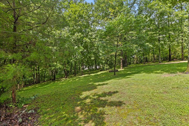 9334 Royal Mountain Dr, Chattanooga, TN 37421 - view of grassy yard with a wooded view