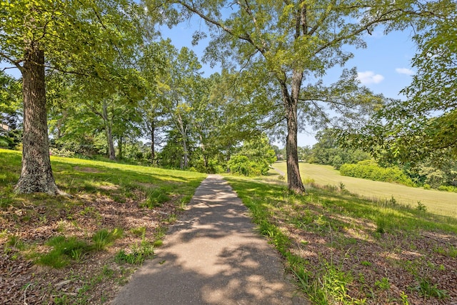 7014 Saw Grass Ct, Chattanooga, TN 37416 - photo 36