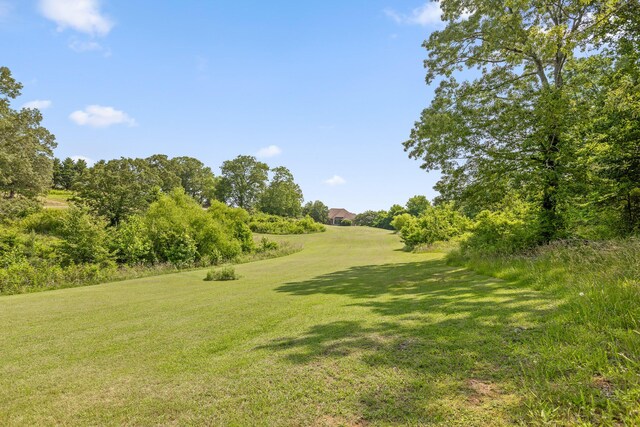 7014 Saw Grass Ct, Chattanooga, TN 37416 - photo 37