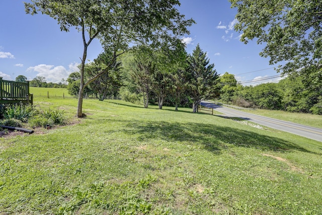109 S Clear Springs Rd, Limestone, TN 37681 - view of green lawn