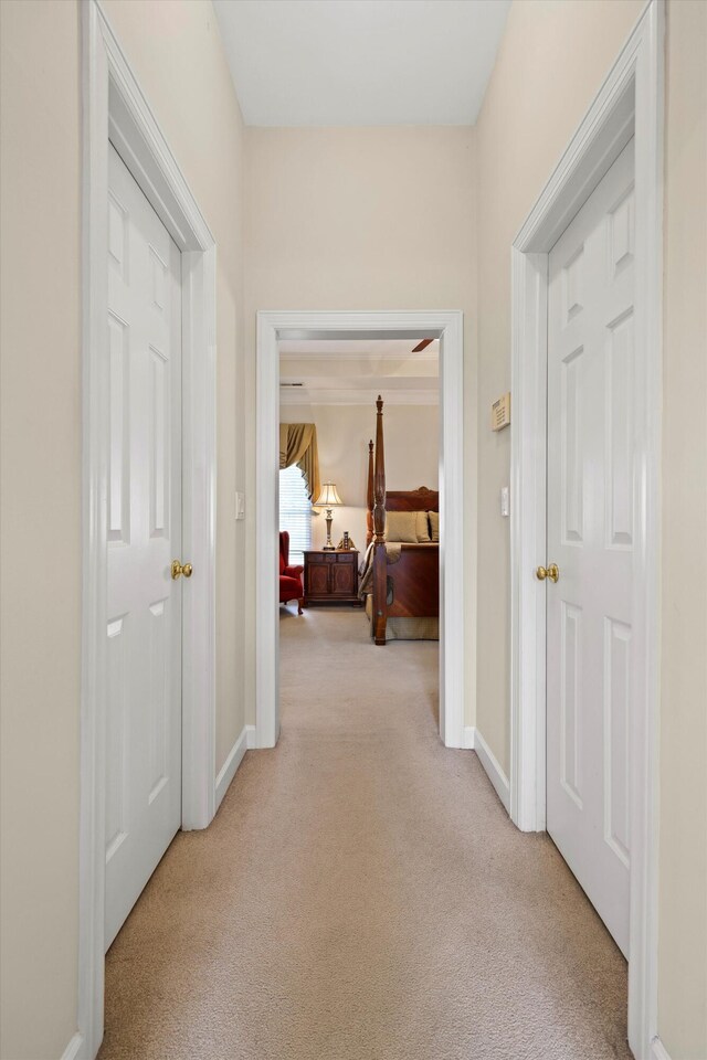 8207 Carriage Xing, Chattanooga, TN 37421 - corridor featuring light carpet and baseboards