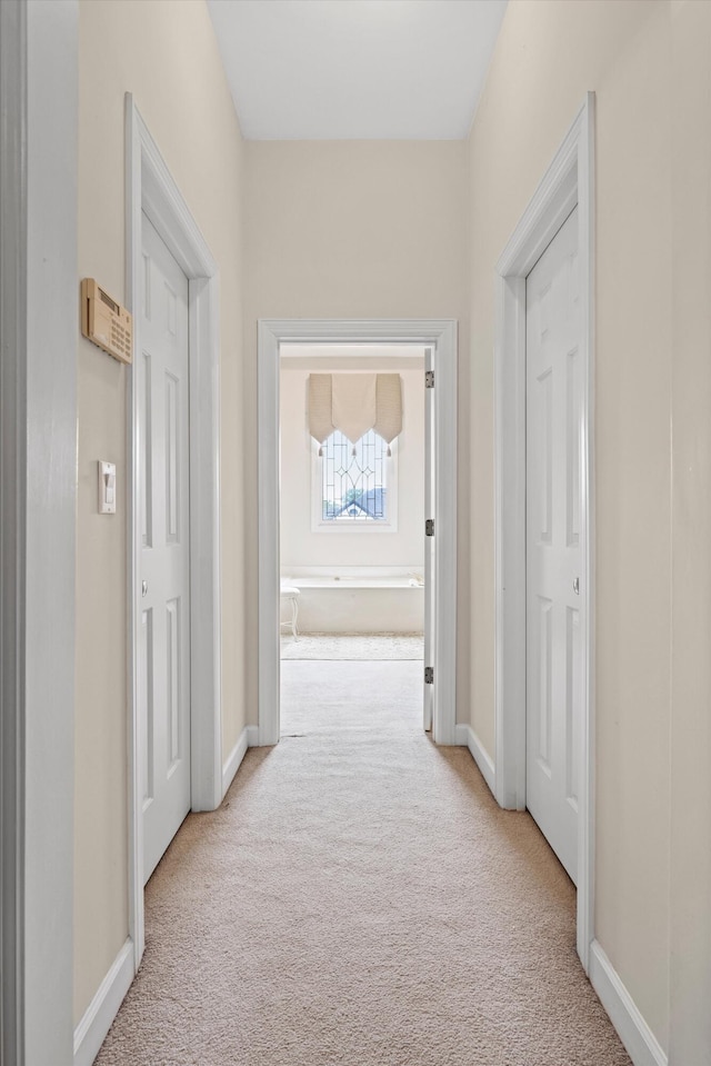 8207 Carriage Xing, Chattanooga, TN 37421 - hallway featuring carpet and baseboards