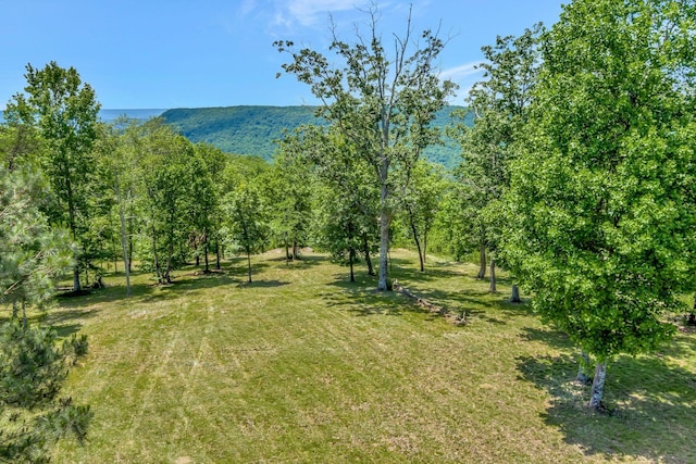 225 Bobcat Trl Unit 210, Jasper, TN 37347