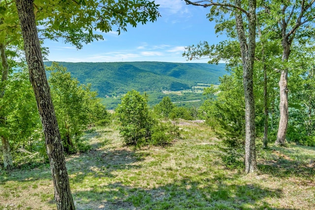 225 Bobcat Trl Unit 210, Jasper, TN 37347
