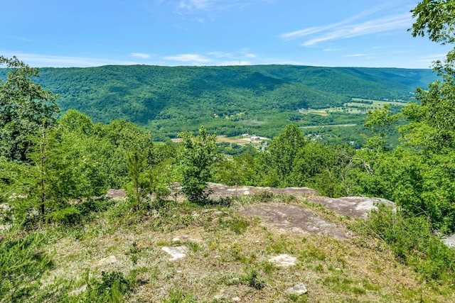 225 Bobcat Trl Unit 210, Jasper, TN 37347