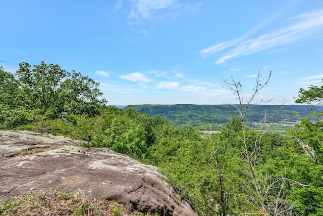 225 Bobcat Trl Unit 210, Jasper, TN 37347
