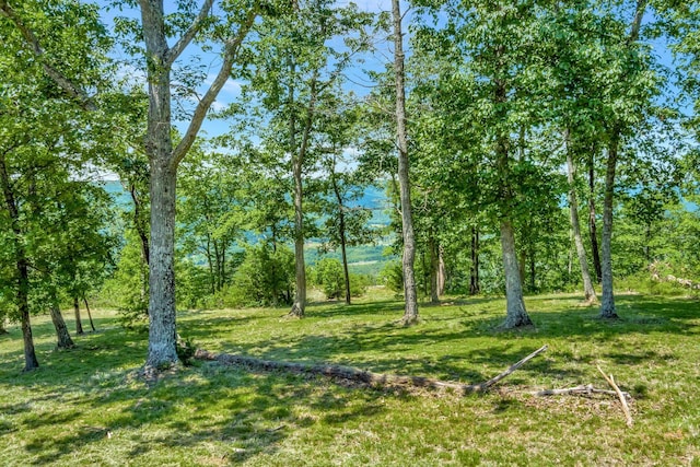 225 Bobcat Trl Unit 210, Jasper, TN 37347