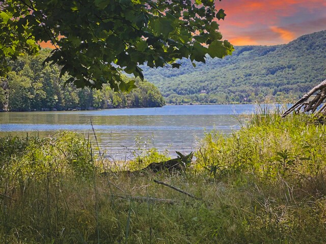 0 Edgewater Way Unit 143, Jasper, TN 37347