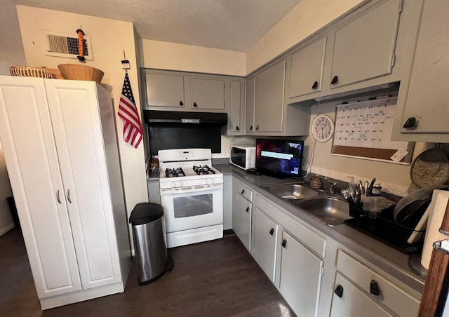 1202 Gadd Rd, Hixson, TN 37343 - kitchen with gas range gas stove, black microwave, under cabinet range hood, dark wood-style flooring, and a sink