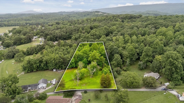 7315 Friendship Ln, Hixson, TN 37343