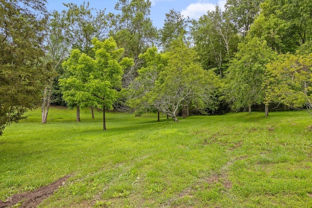 7315 Friendship Ln, Hixson, TN 37343