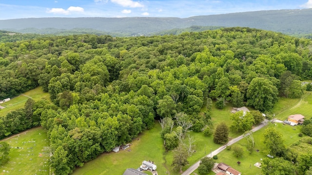 7315 Friendship Ln, Hixson, TN 37343