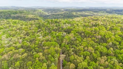 8993 Big Bend Rd Unit Tract A, Signal Mountain, TN 37377 - photo 13