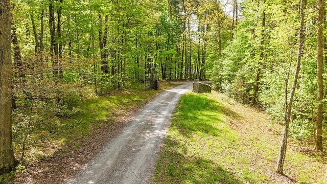 8993 Big Bend Rd Unit Tract A, Signal Mountain, TN 37377 - photo 14