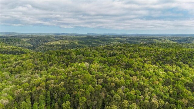 8993 Big Bend Rd Unit Tract A, Signal Mountain, TN 37377 - photo 20