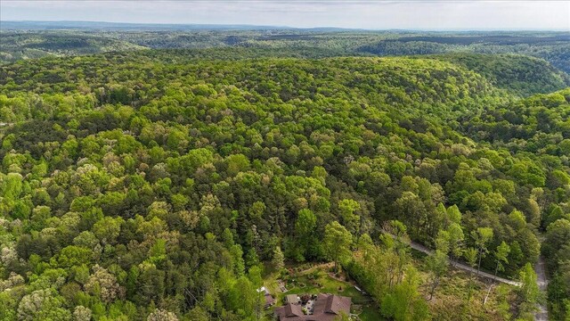 8993 Big Bend Rd Unit Tract A, Signal Mountain, TN 37377 - photo 24
