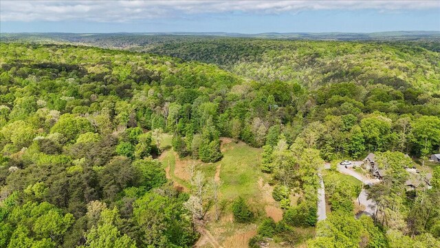 8993 Big Bend Rd Unit Tract A, Signal Mountain, TN 37377 - photo 25