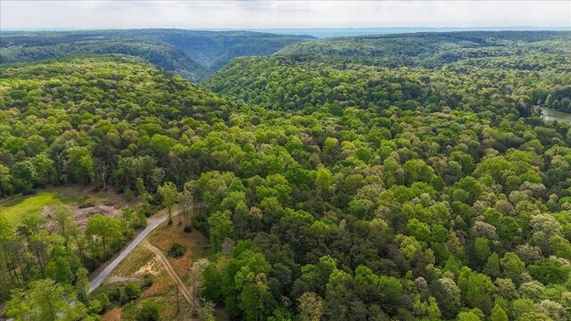 8993 Big Bend Rd Unit Tract A, Signal Mountain, TN 37377 - photo 27