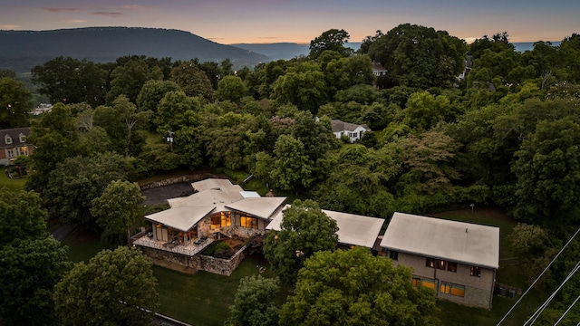 702 S Crest Rd, Chattanooga, TN 37404 - aerial view at dusk of a forest view