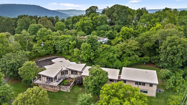 702 S Crest Rd, Chattanooga, TN 37404 - view from above of property with a mountain backdrop and a forest