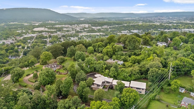 702 S Crest Rd, Chattanooga, TN 37404 - bird's eye view of a mountain backdrop
