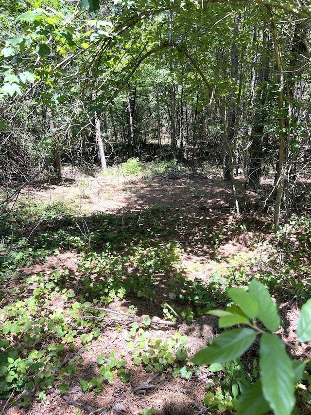 0 Crockett Poine J179, Jasper, TN 37347
