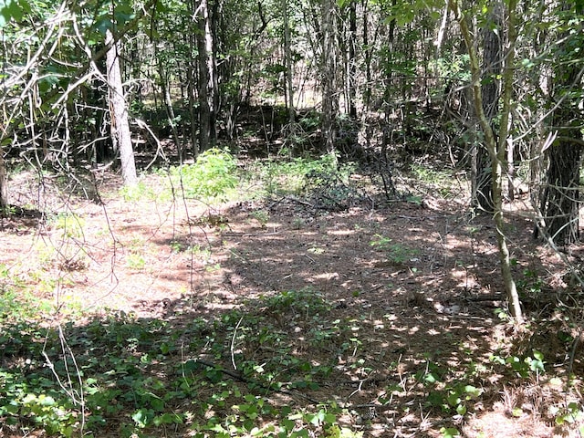 0 Crockett Poine J179, Jasper, TN 37347