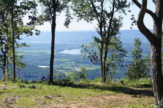 0 Crockett Poine J179, Jasper, TN 37347