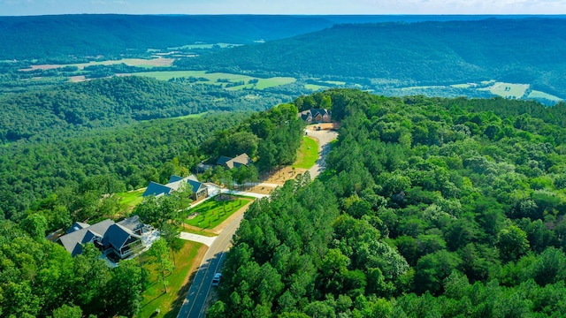 0 Crockett Pointe J179, Jasper, TN 37347 - photo 15