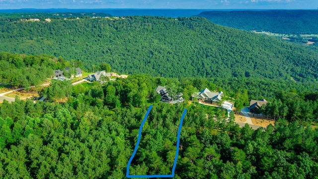0 Crockett Pointe J179, Jasper, TN 37347 - photo 17