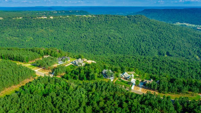 0 Crockett Pointe J179, Jasper, TN 37347 - photo 18